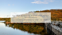 David Martin Photography in Plymouth 1099297 Image 1